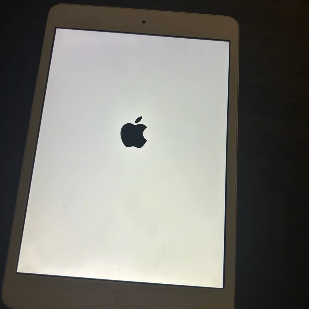 iPad mini 2